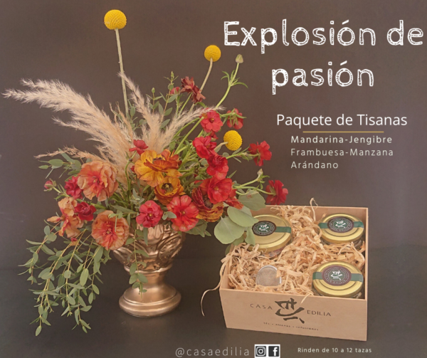 Paquete de tissanas: Explosión de pasión